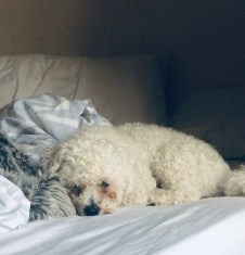 A51F71FD-DB0F-4514-8411-01FFBAD5B031