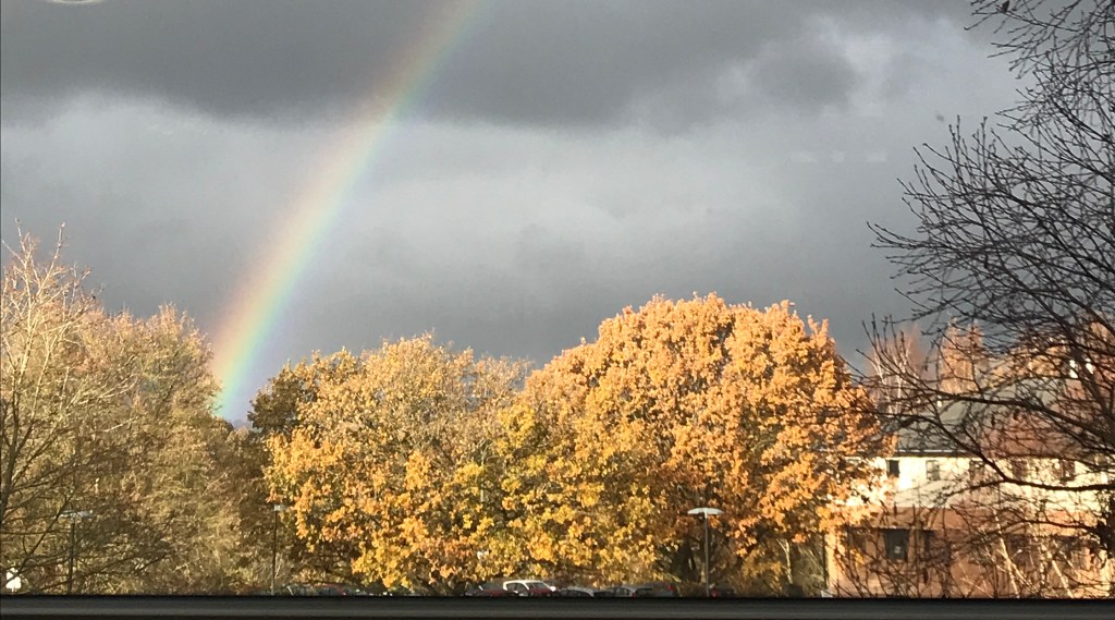 Med School Diaries | Community placement and it’s good to go&nbsp;home